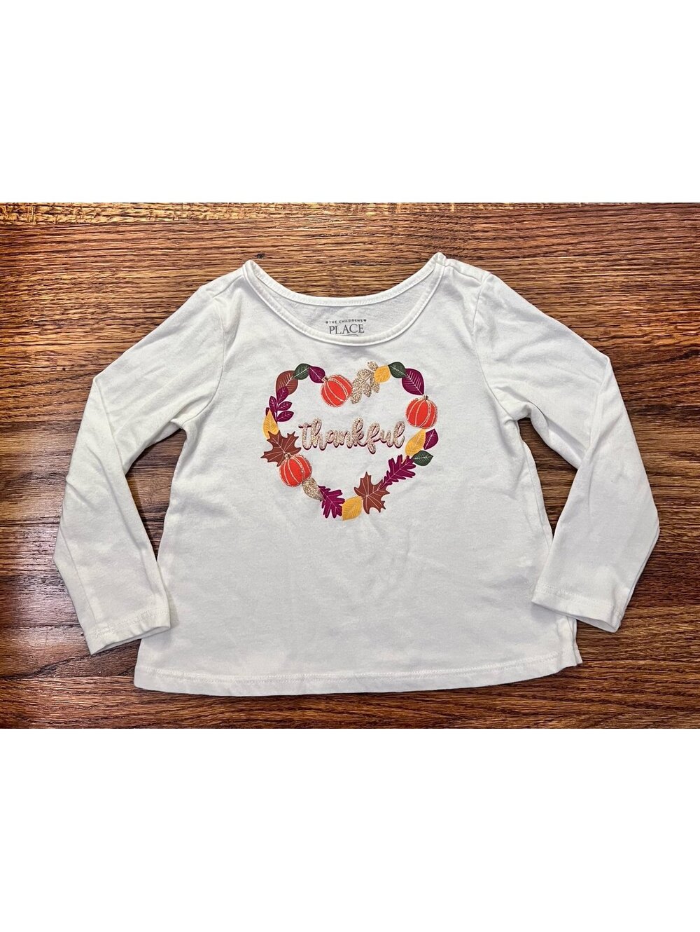 The Childrens Place Girls Long Sleeve Thanksgiving Shirt / Fall Shirt (12-18m)